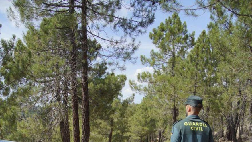 Guardia Civil auxilia a 38 personas extraviadas buscando setas en Teruel