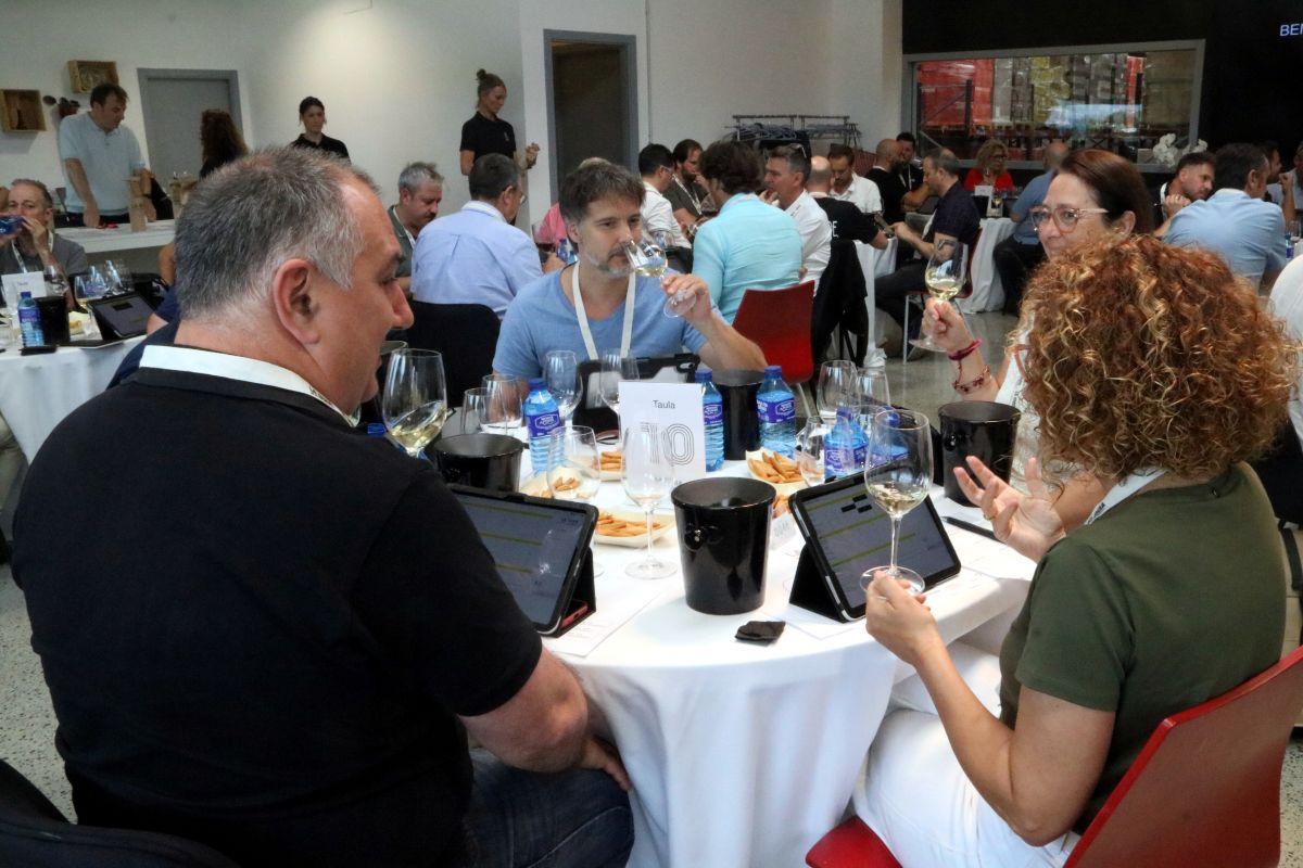 Pla general del tast que s'ha fet a Vilamalla.