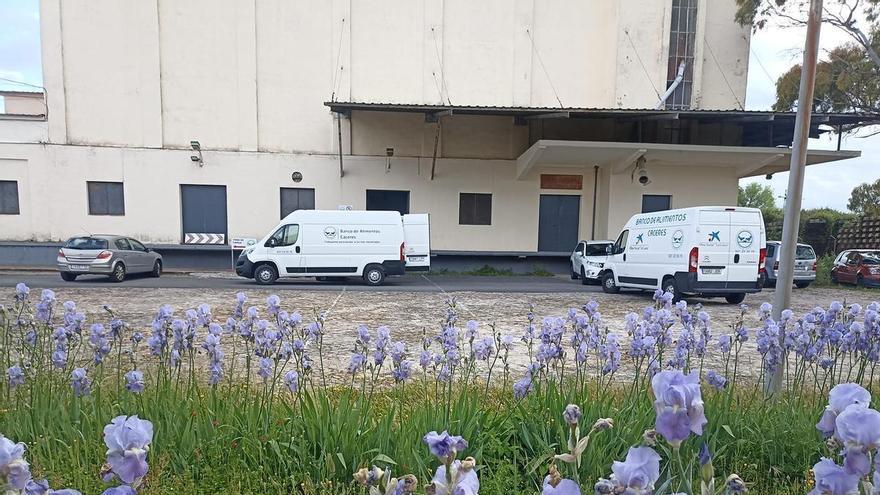 El Banco de Alimentos de Cáceres organiza su Recogida de Primavera este viernes y sábado