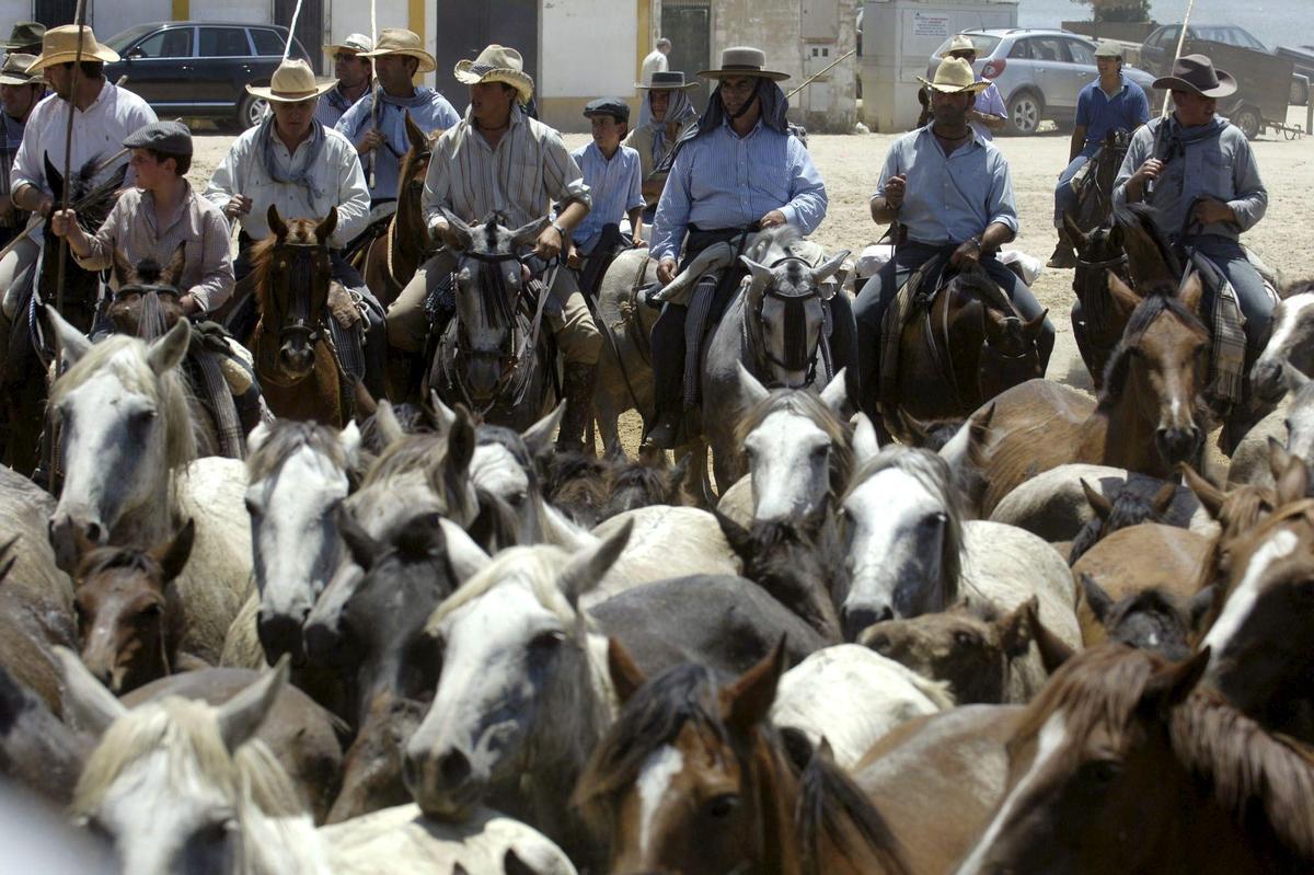 ***EFE ANDALUCÍA***HUE03. HUELVA, 25/06/08.- Decenas de equinos son conducidos por la aldea del Rocío en la tradicional jornada de la &quot;Saca de las Yeguas&quot; en la que unos 1.600 equinos que habitan en estado semisalvaje en las marismas de Doñana son sacados de su entorno natural para ser conducidos hasta el municipio de Almonte. EFE/IVAN QUINTERO