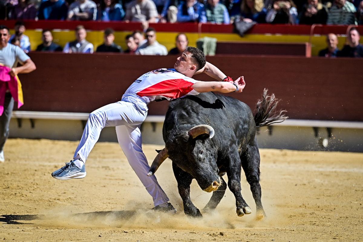 Concurso recortadores