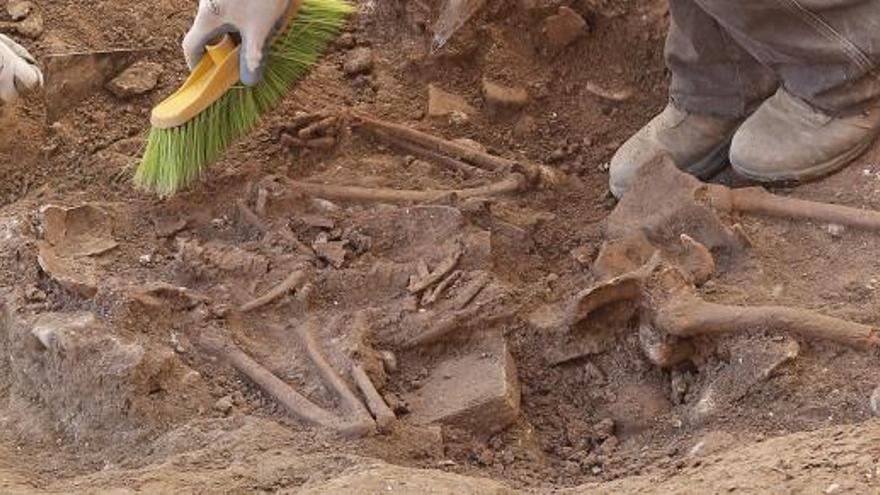 Esqueleto descubierto en las excavaciones del Palacio del Temple.