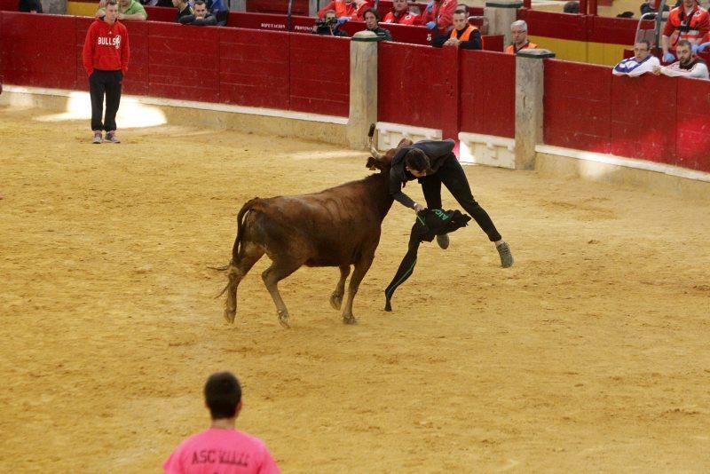 Vaquillas del 9 de octubre