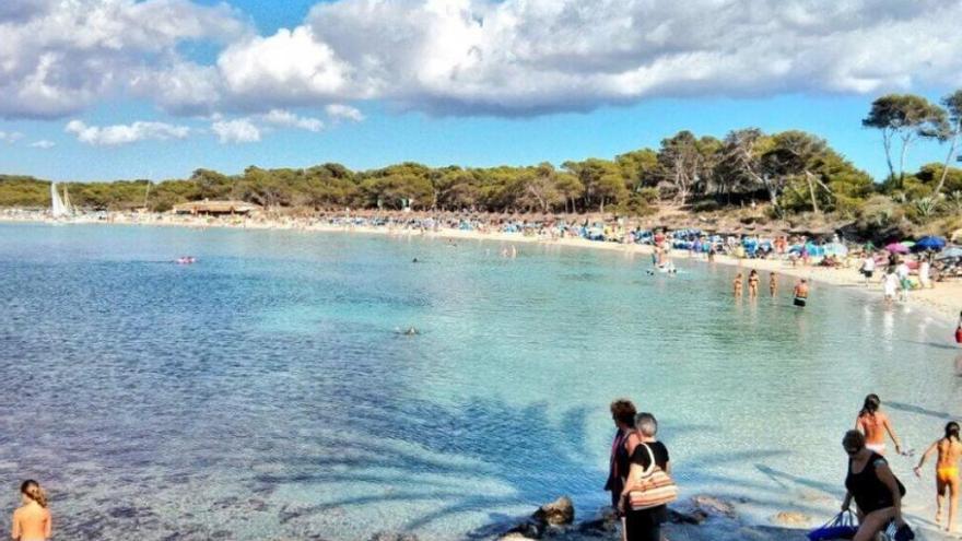 Desalojan una playa de Mallorca por el avistamiento de un tiburón