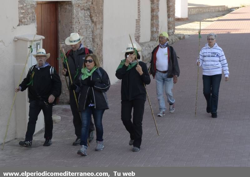 GALERÍA DE FOTOS -  Romería Magdalena 2014 (1)