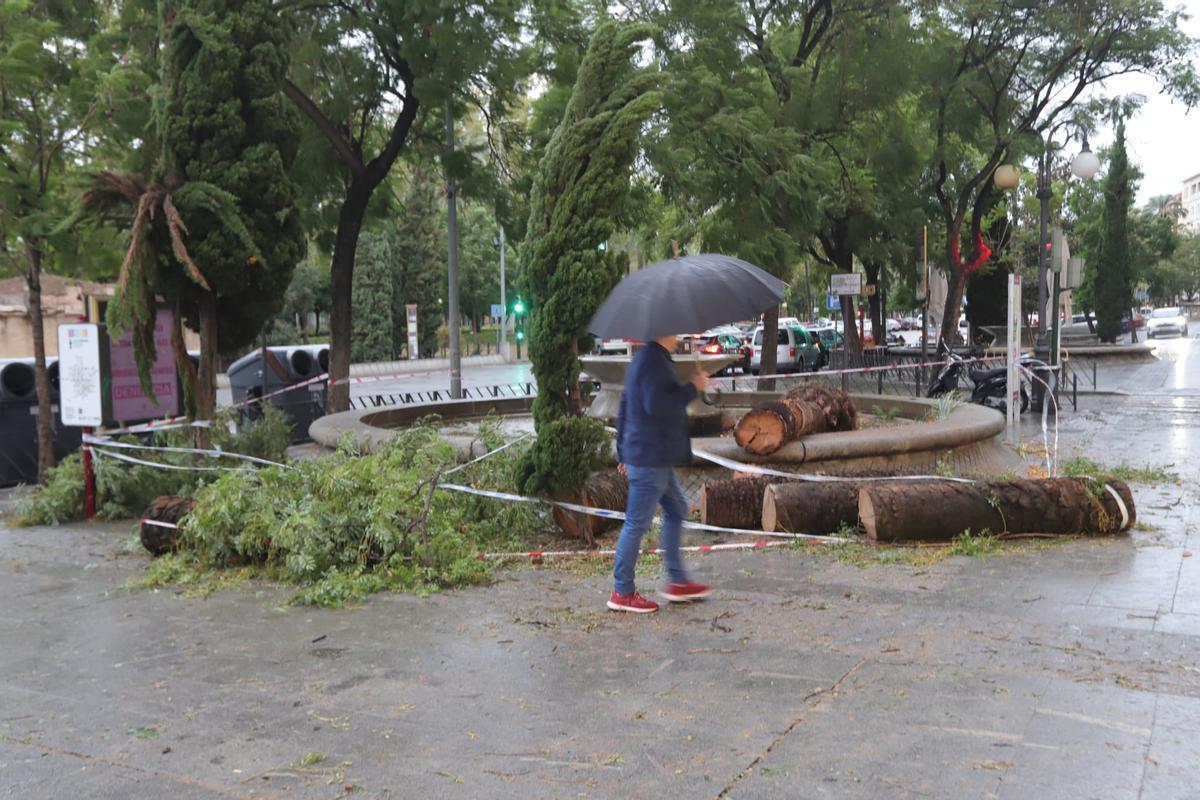 Parques cerrados y alerta por lluvia y rachas de viento de hasta 90 km/h