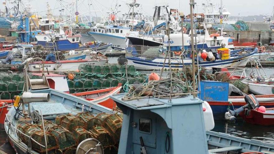 Flota pesquera de distintas modalidades amarrada en el muelle coruñés de Oza.