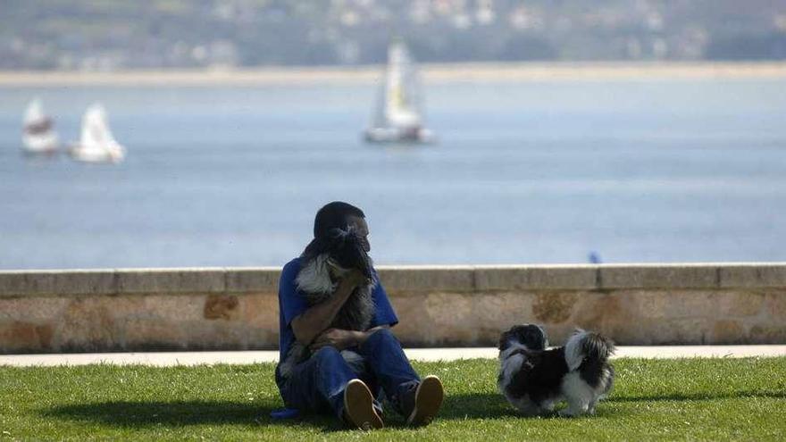 Un joven juega con dos perros en los jardines del paseo marítimo de A Coruña.