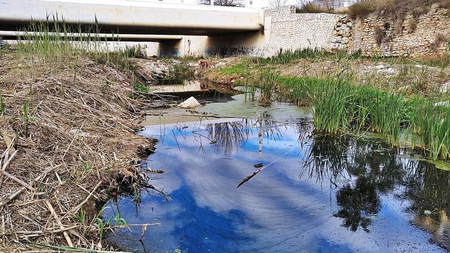 Las aguas fecales que contaminan la desembocadura del río Gorgos. | A. P. F.