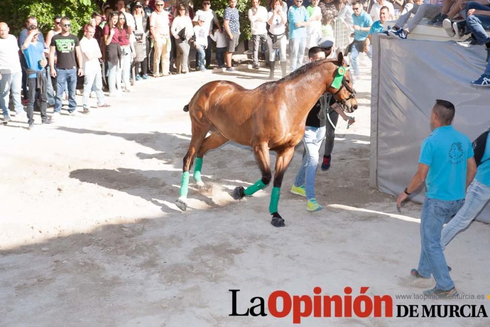 Día uno de mayo, entrada de caballos al Hoyo