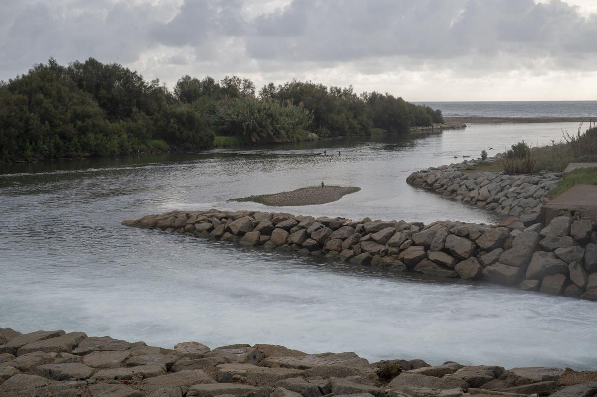 Sant Adrià de Besós. 20.10.2025. Barcelona. Desembocadura del río Besós desde la calle de Eduard Maristany hacia el mar cuyo margen izquierdo se engloba en un proyecto de renaturalización para recuperar ‘aiguamolls’ y especies de flora y fauna. Fotografía de Jordi Cotrina