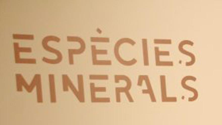 Visita comentada exposició Espècies minerals. Lunivers a les pedres; una recerca infinita