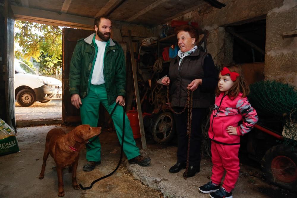 Mascotas | Bertín, el perro más veterano del CAAN, encuentra un hogar