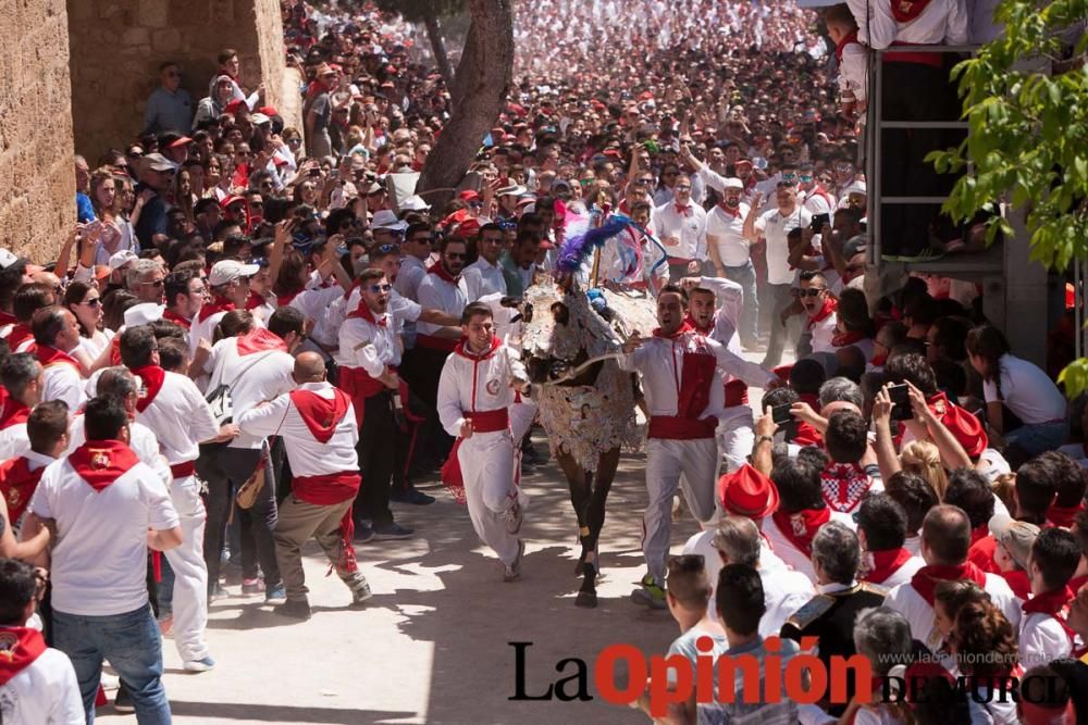 Carrera de los Caballos del Vino