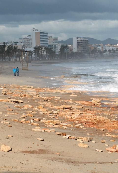 El temporal arrasa las cosechas