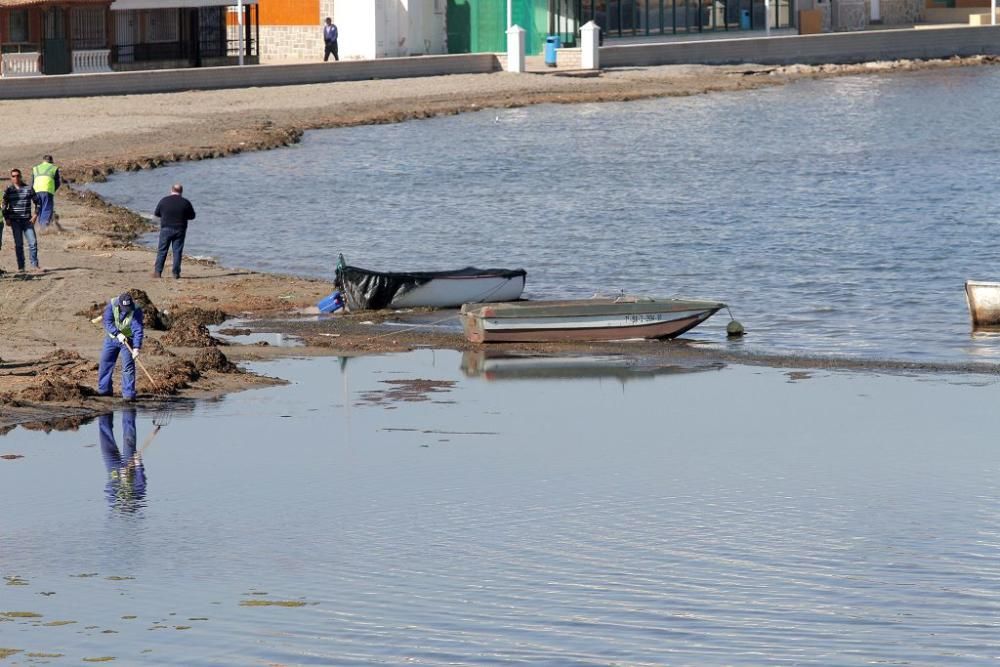 Así trabaja la brigada de limpieza en el Mar Menor