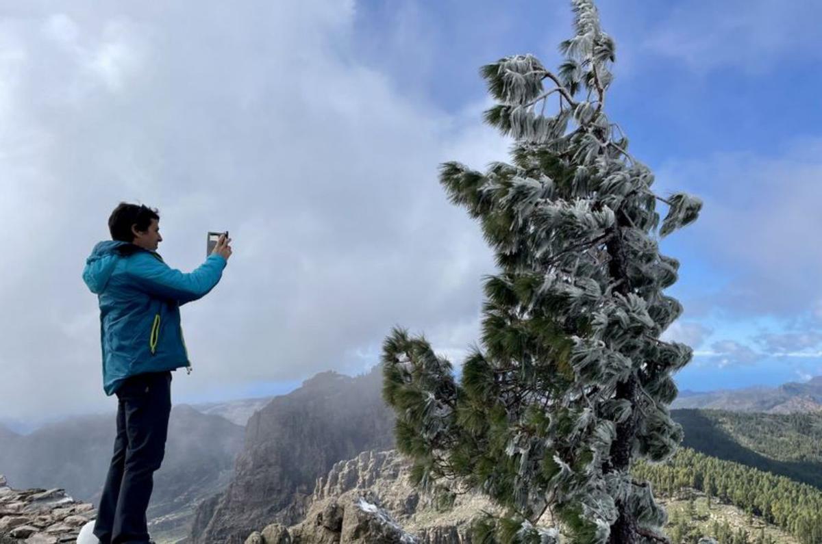 Gran Canaria en el Polo Norte