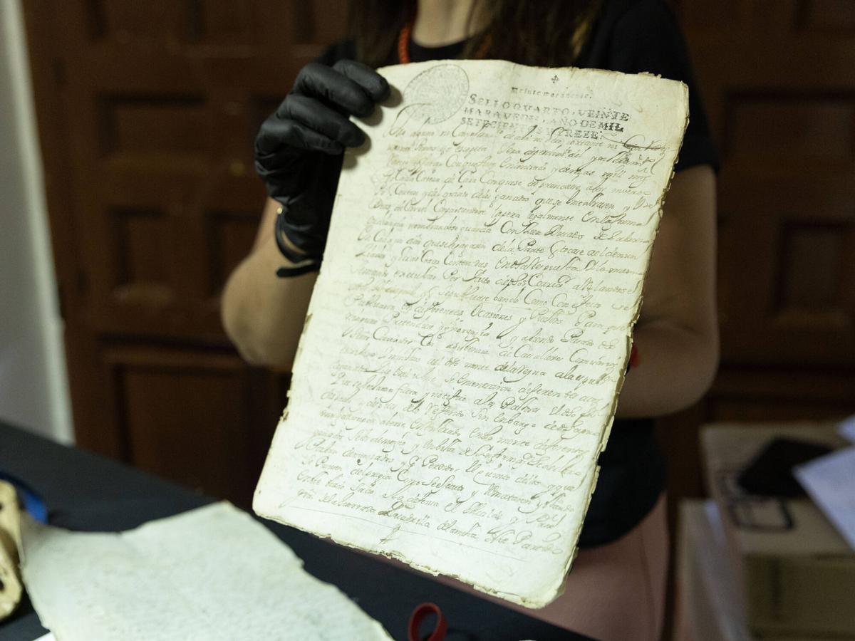 Las mejores imágenes del archivo de Toro