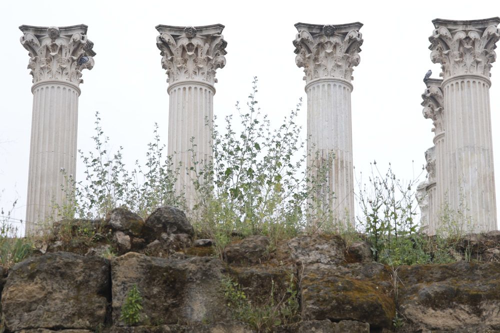 Estado de abandono del Templo Romano