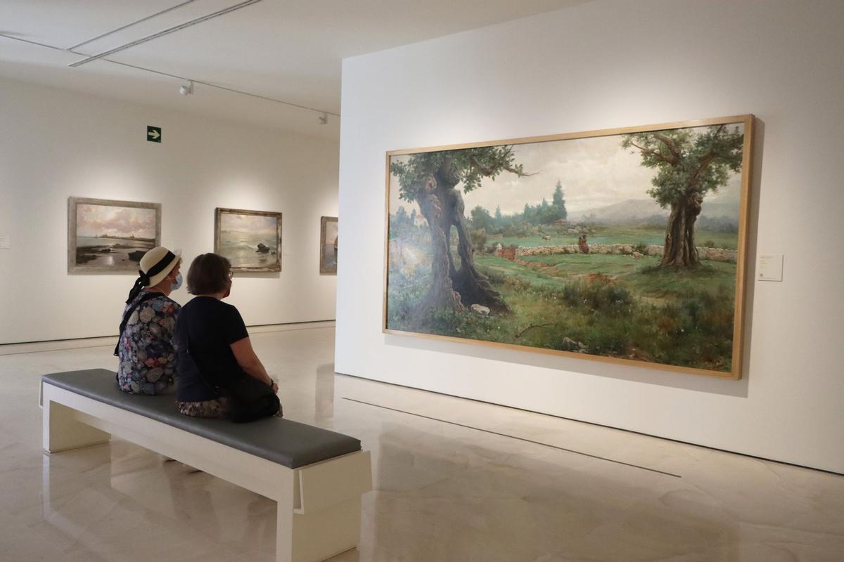 Las imágenes del Día Internacional de los Museos en Málaga - La Opinión ...