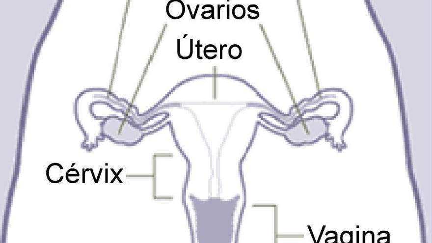 La segunda juventud de los ovarios