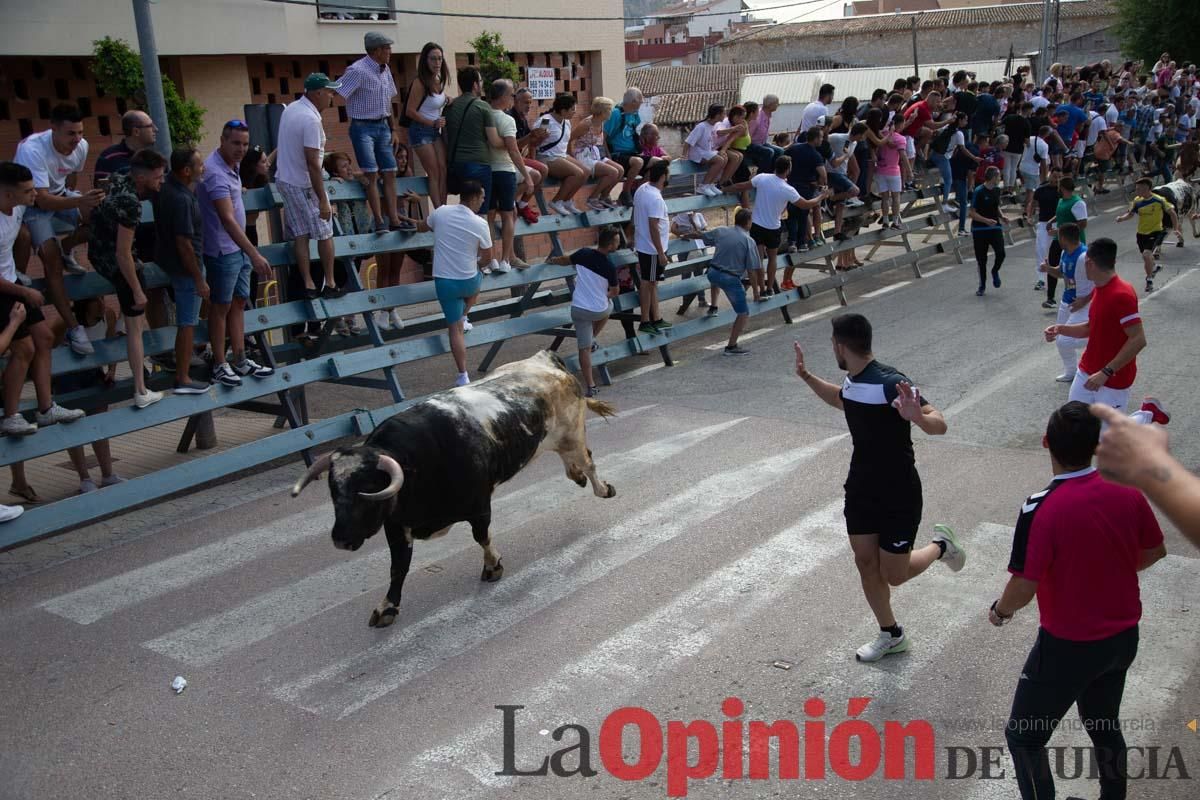 Primer encierro de la Feria del Arroz de Calasparra