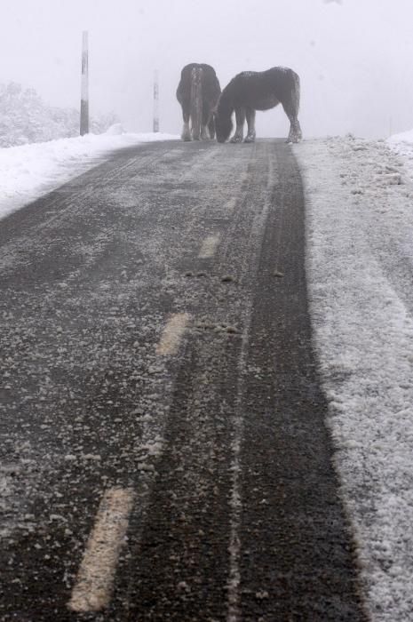 Primera nevada en Pajares