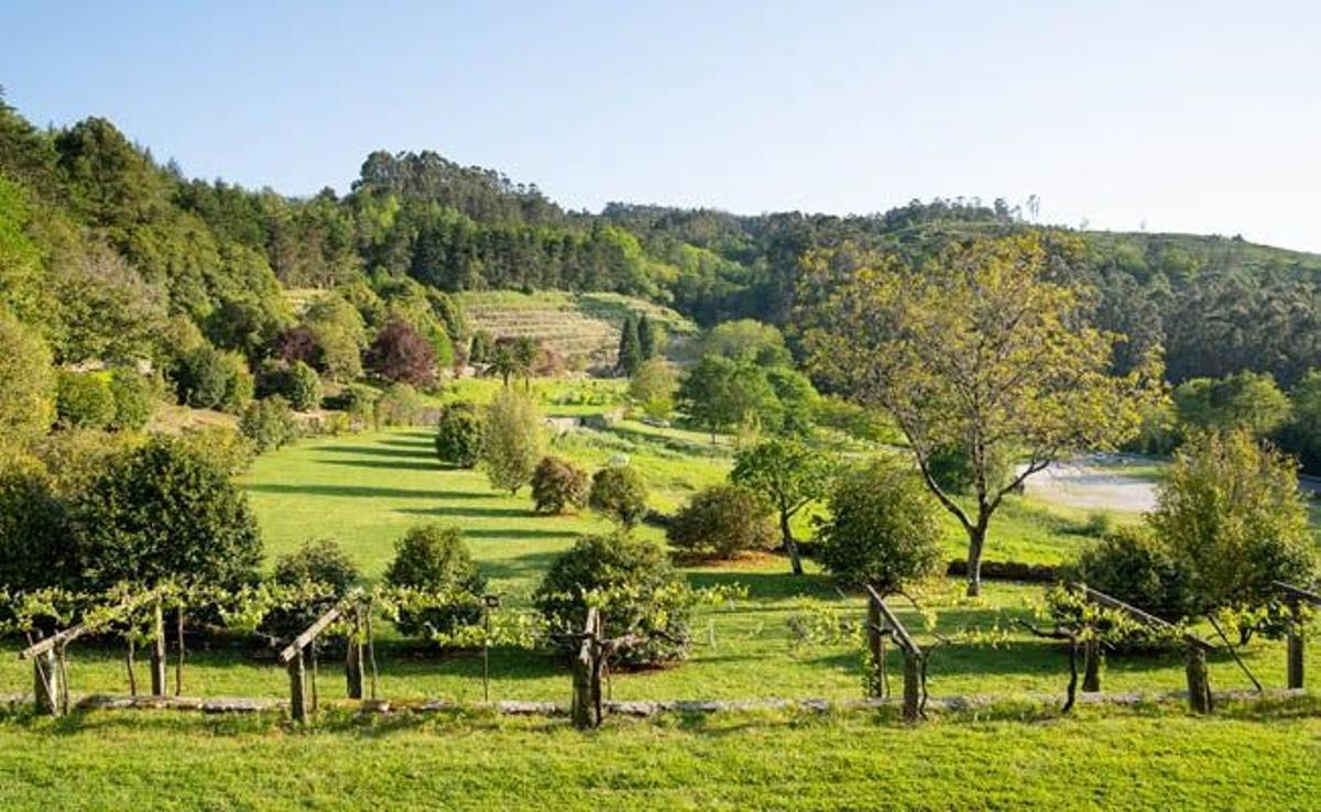 Viñedos Soutomaior