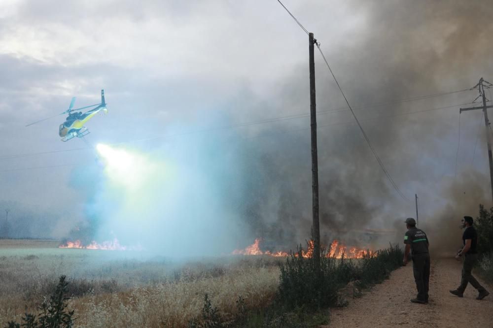 El incendio en el polígono industrial Campo de aviación de Coreses, en imágenes