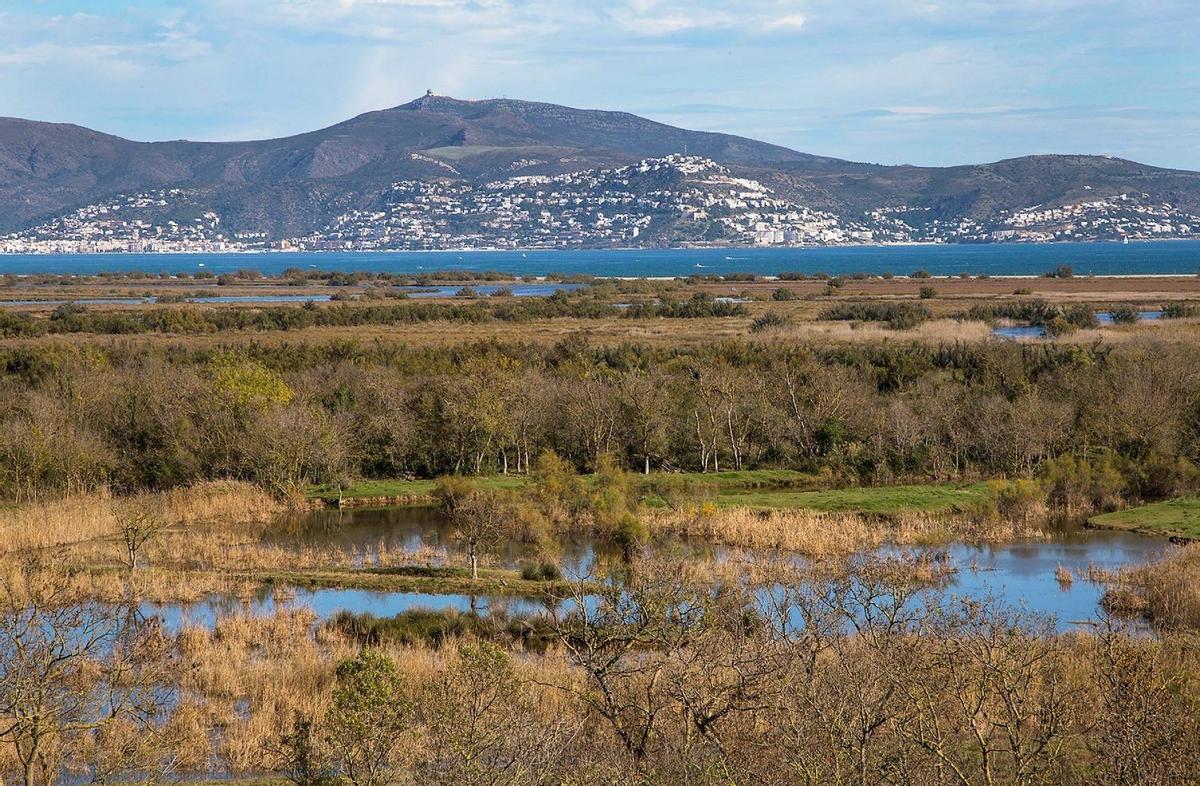 Aiguamolls de l’Empordà, parques naturales Roses