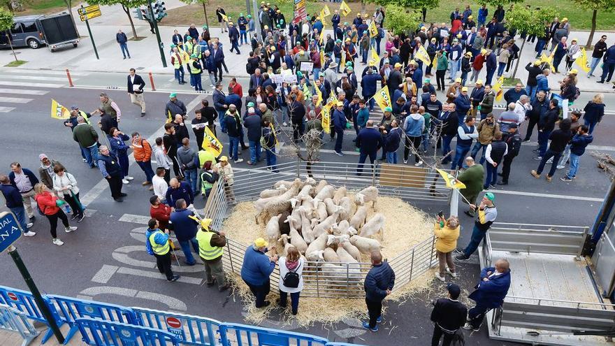 Medio millas de agricultores y ganaderos protestan en Teniente Flomesta