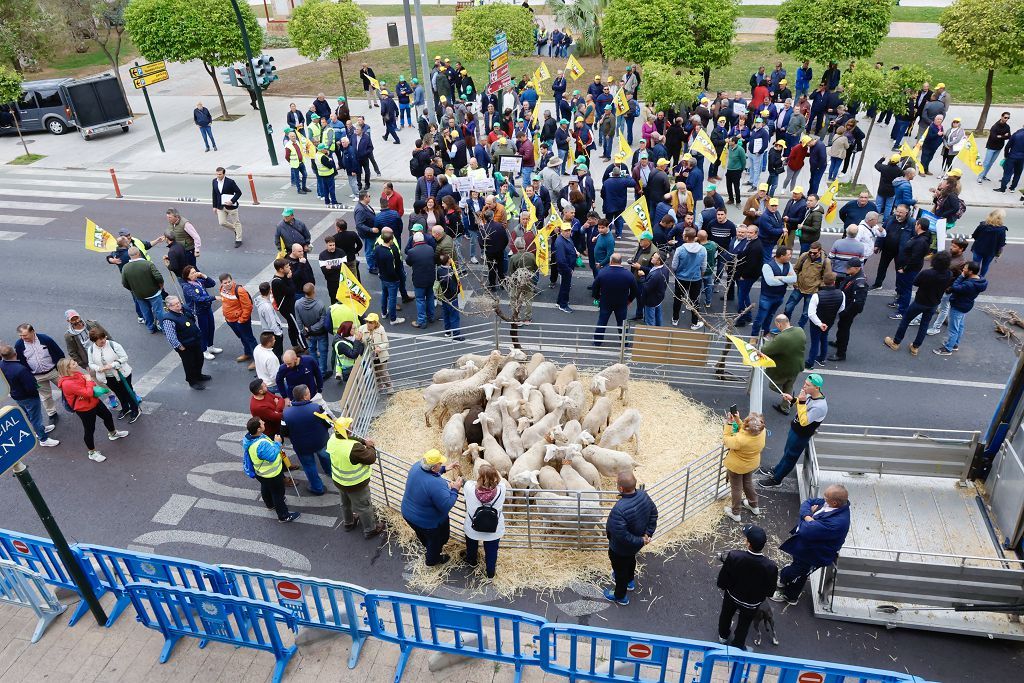 Medio millas de agricultores y ganaderos protestan en Teniente Flomesta