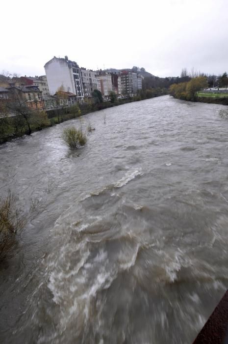 El Río Nalón, crecido, a la altura de Sama