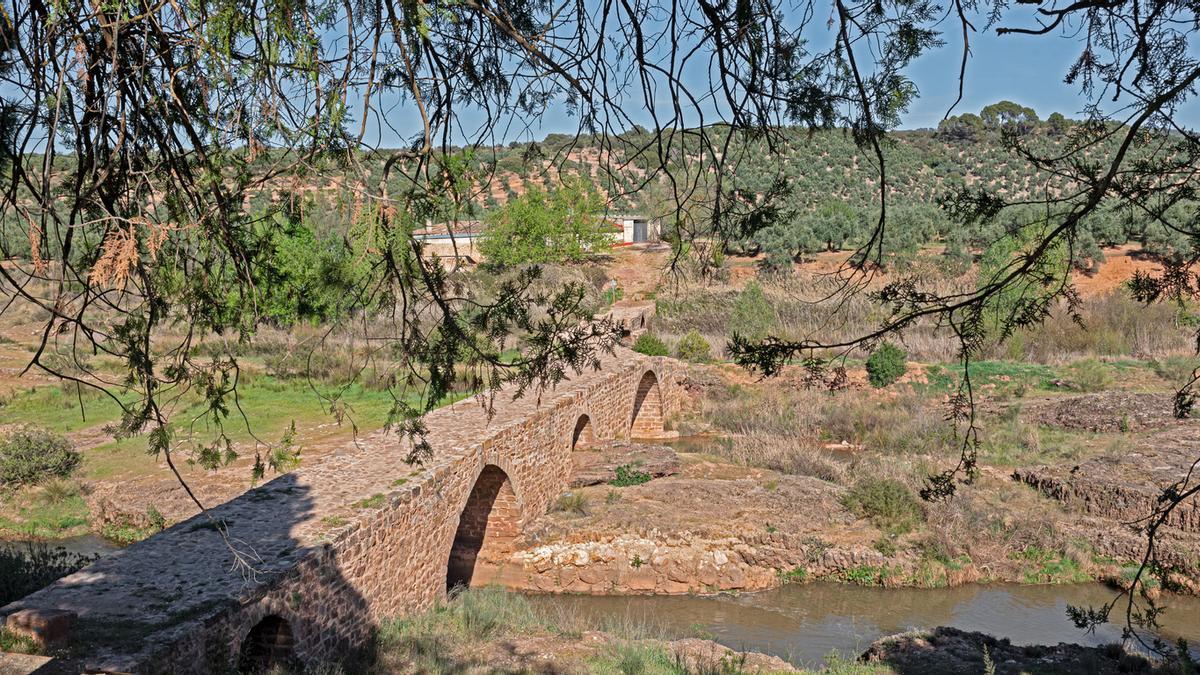 Descubre los paisajes rurales más bonitos y disfruta el jamón ibérico y el cordero segureño con Club VIAJAR.