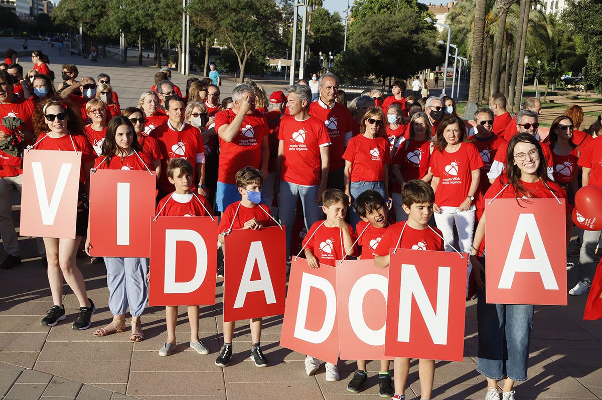 Marcha por la donación en Córdoba