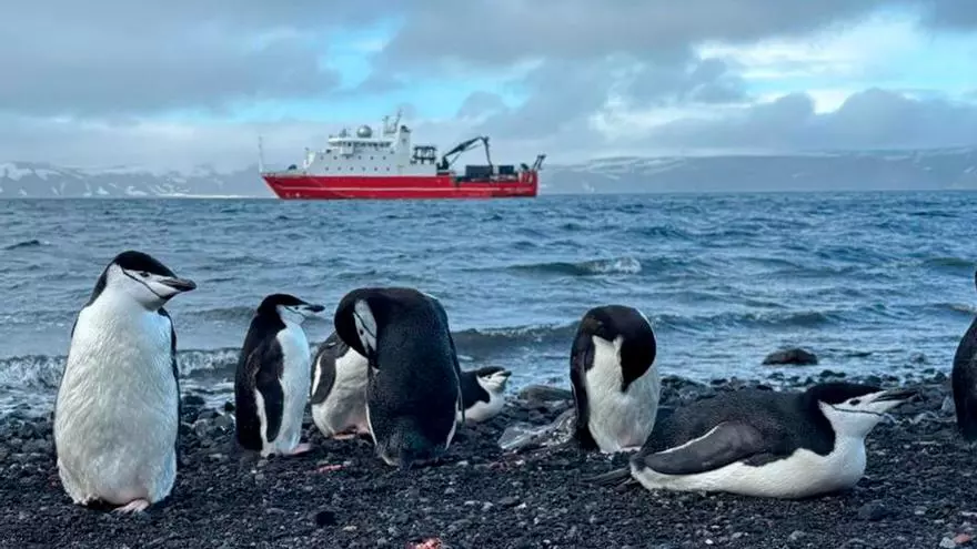 Una gallega deja su huella en el hito de la Antártida