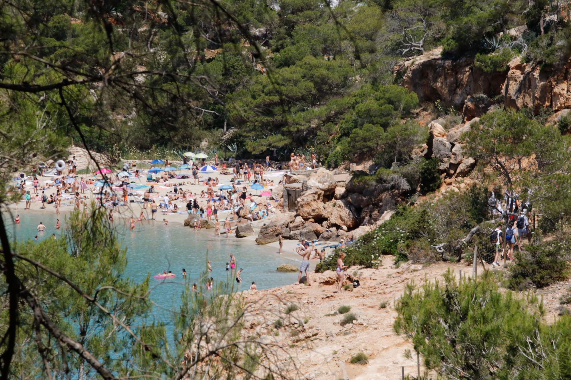 Primer día del servicio de autobús a Cala Salada