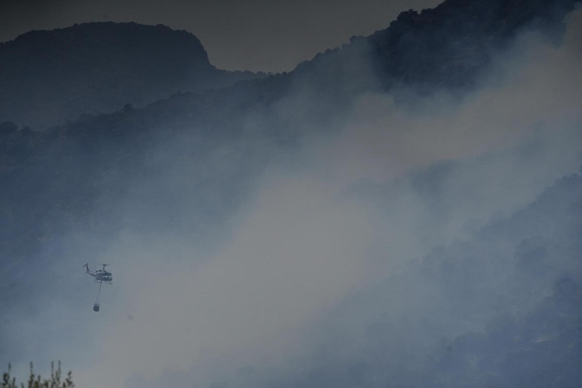 GALERÍA | El paisaje después de incendio en Fermoselle