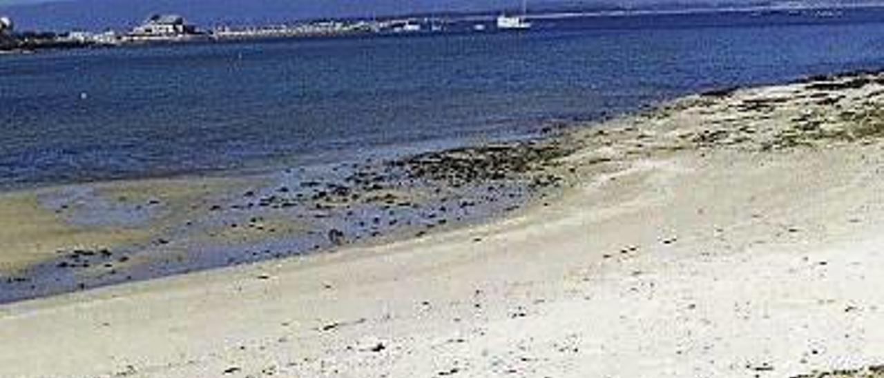 La basura también se acumula en las playas de la isla estandarte del turismo en Galicia, A Toxa.