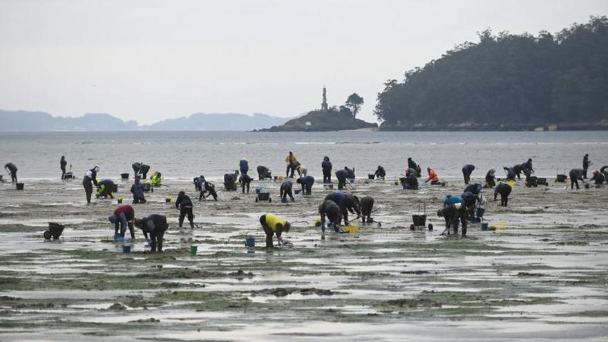 El futuro del marisqueo en la ría: «Una familia ya no puede vivir solo de esto»