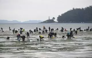 El futuro del marisqueo en la ría: «Una familia ya no puede vivir solo de esto»
