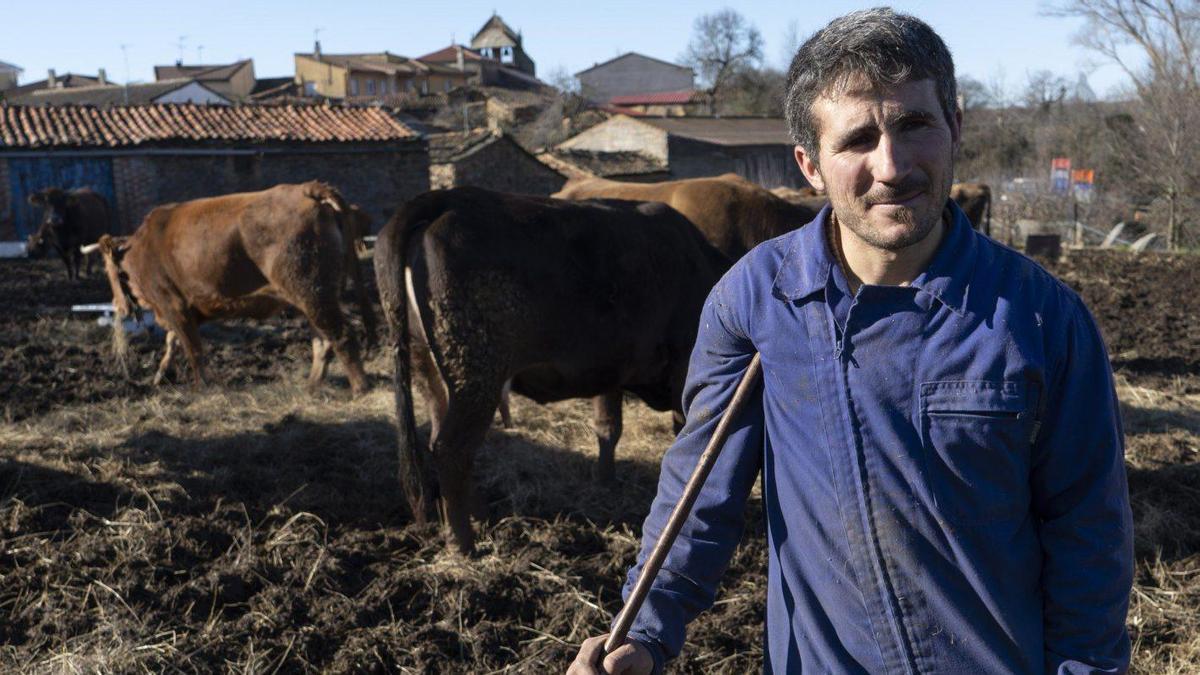 José Pedro González «Perriles» con su explotación en Tola.  | J. L. F. (ARCHIVO)