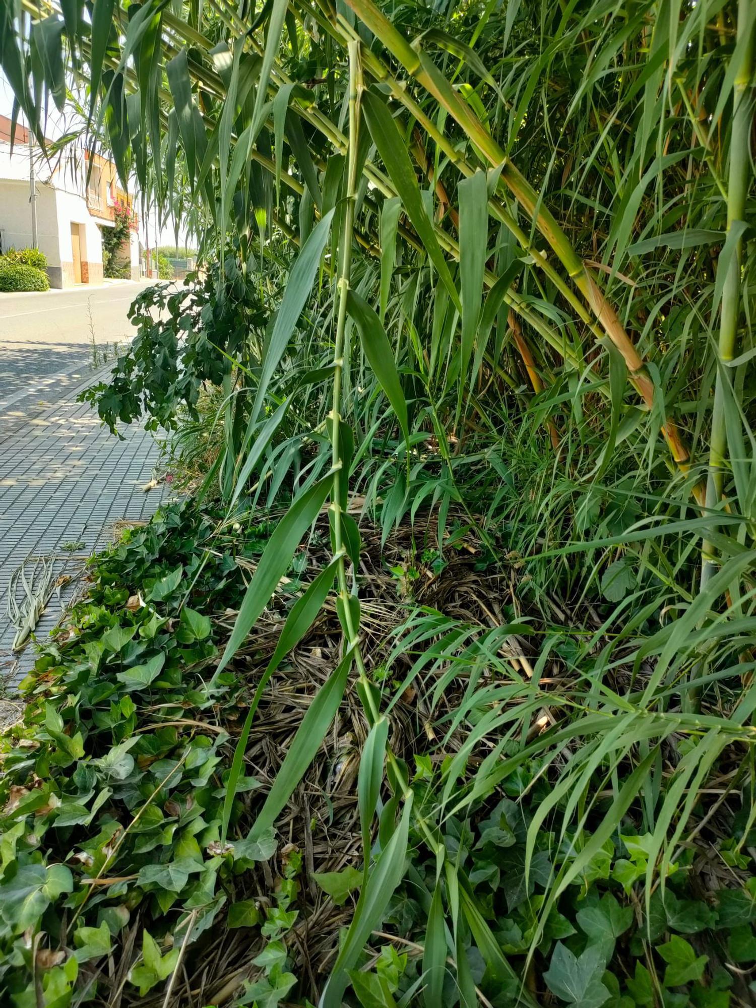 WhatsApp Image 2025-09-30 at 21.34.20 (1).jpeg