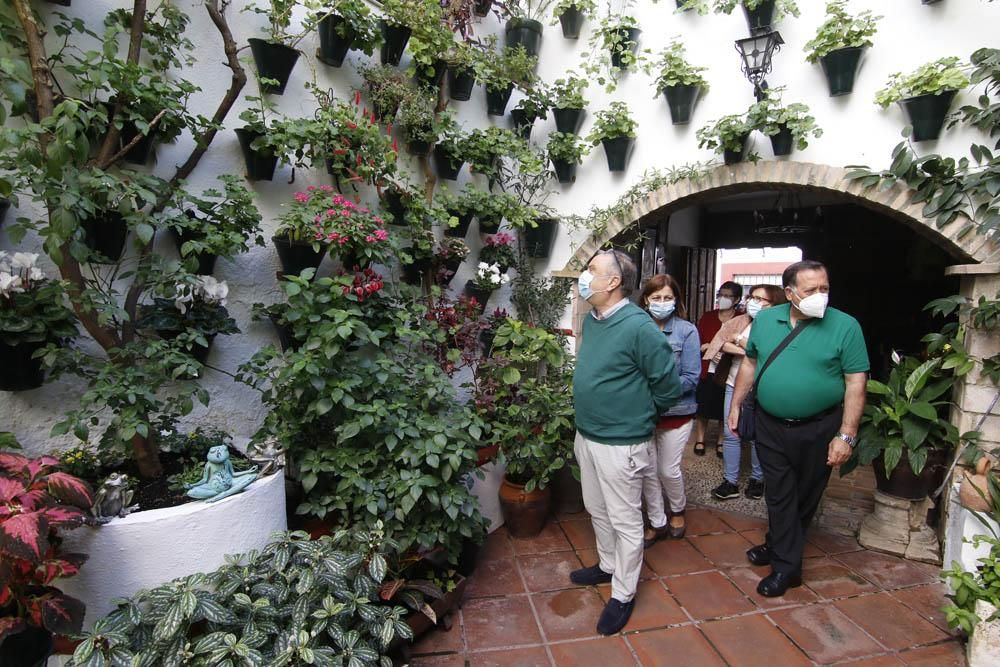 Animado último domingo de Patios