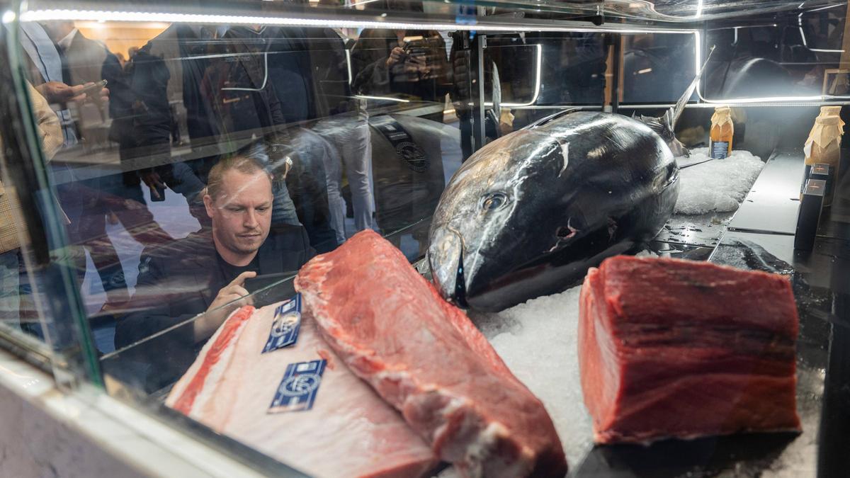 Un ejemplar de atún rojo en el 'stand' de Balfegó, en la feria Seafood Expo Global 2024