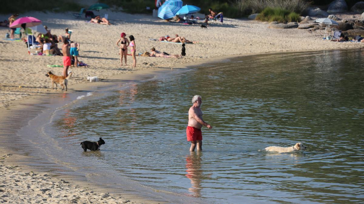 La playa canina de O Espiño.