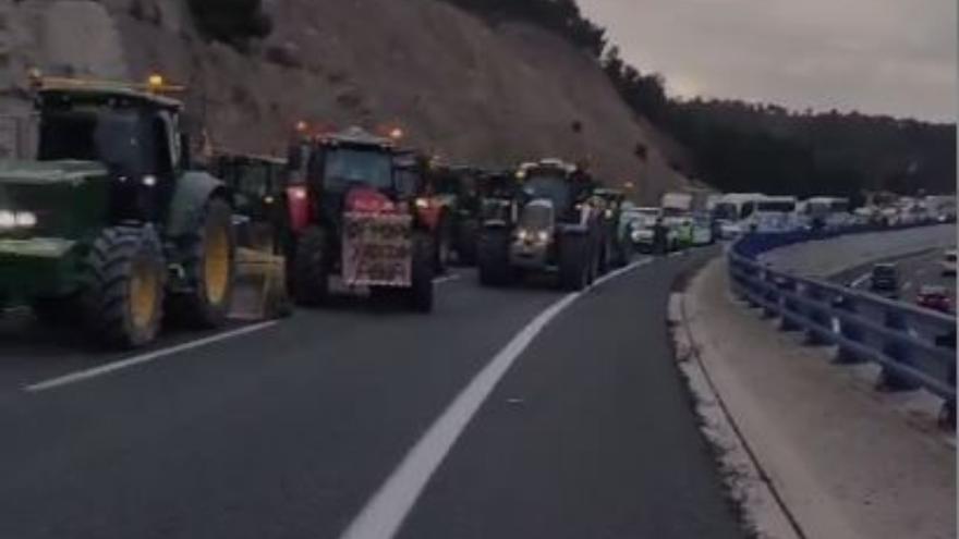 Así luce el Puerto de la Cadena: totalmente cortado por la tractorada