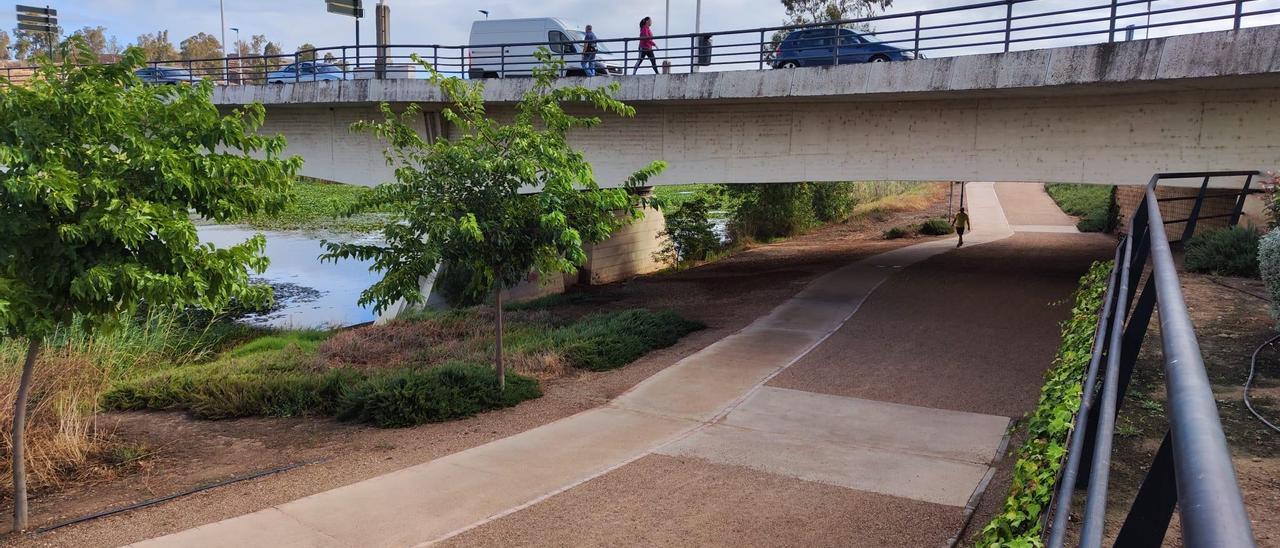 La agresión se produjo en el parque de la margen izquierda debajo del puente de la Autonomía.