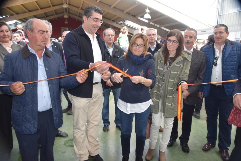 Feria del Burro y romería en San Vitero de Aliste