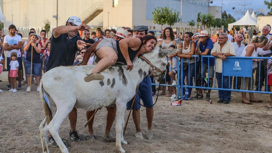 Los animales hacen  gala de sus habilidades